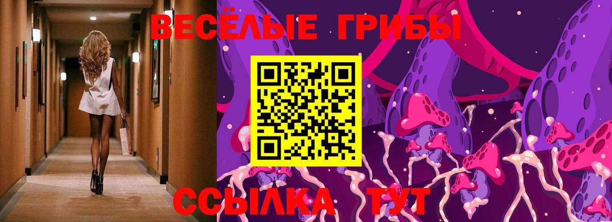 Галлюциногенные грибы прущие грибы  Псилоцибиновые грибы GOLDEN TEACHER  Ейск  Вход с VPN 